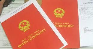 Căn cứ, thẩm quyền xét cấp Giấy chứng nhận quyền sử dụng đất lần đầu