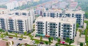 huong-dan-moi-ve-xac-nhan-thu-nhap-cho-lao-dong-tu-do-mua-nha-o-xa-hoi