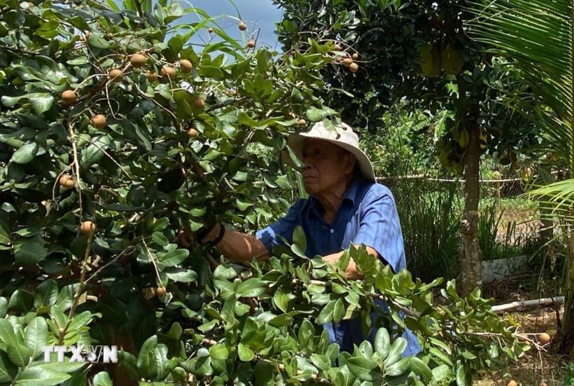 nhung-cuu-chien-binh-viet-tiep-cau-chuyen-kinh-te-thoi-binh