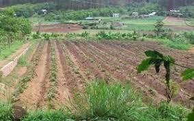 Có bắt buộc thu hồi hết đất ở mới được hỗ trợ tái định cư?