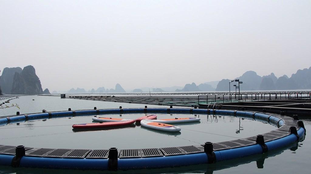 quang-ninh-se-hoan-thanh-muc-tieu-tang-truong-tin-dung-123