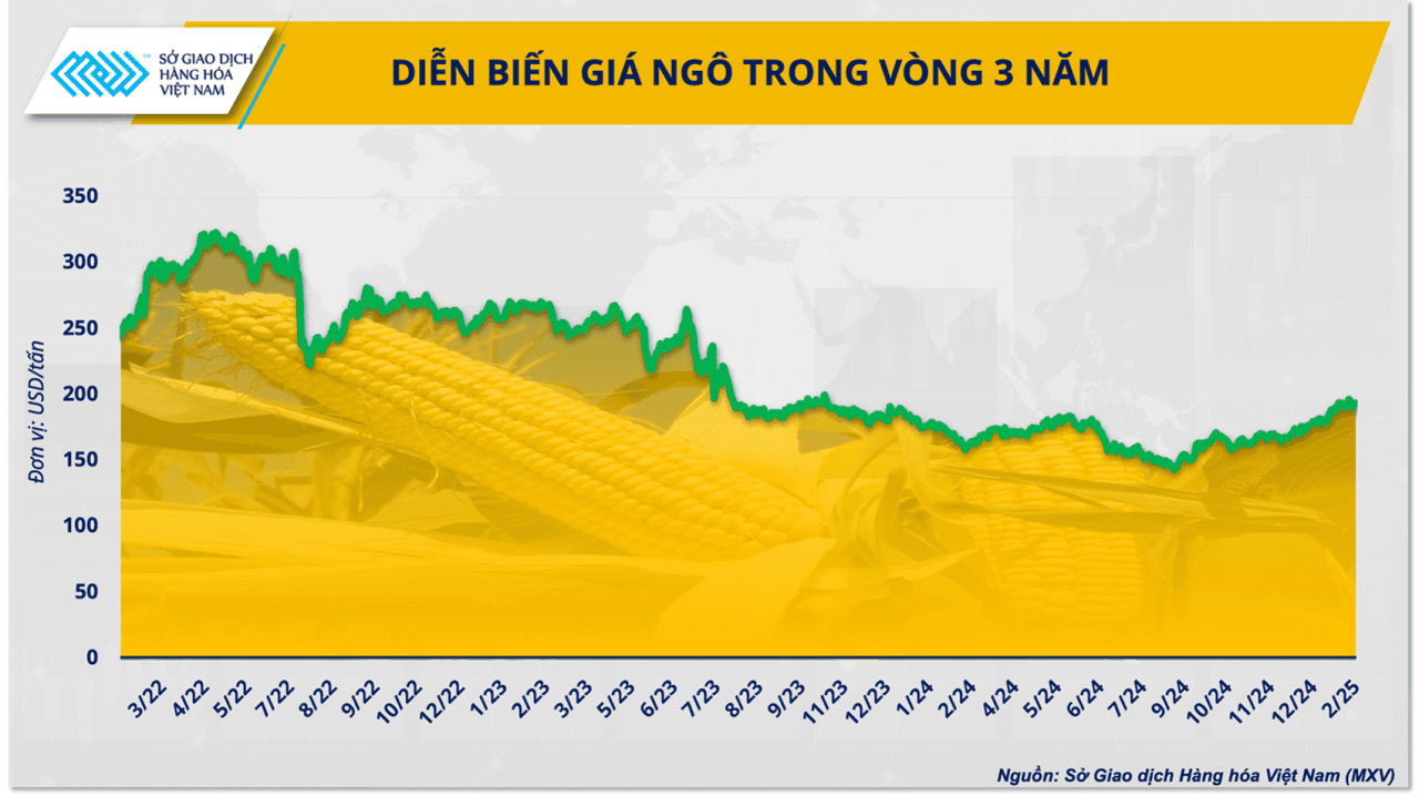 thi-truong-ngo-the-gioi-nam-2025-thach-thuc-mang-theo-co-hoi