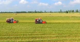 Thu hồi đất nông nghiệp, trường hợp nào được hỗ trợ bằng tiền?
