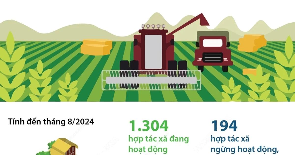 Hà Nội có gần 1.500 hợp tác xã nông nghiệp