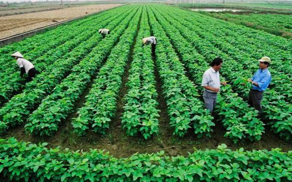 gia-han-su-dung-dat-duoc-thuc-hien-khi-nao