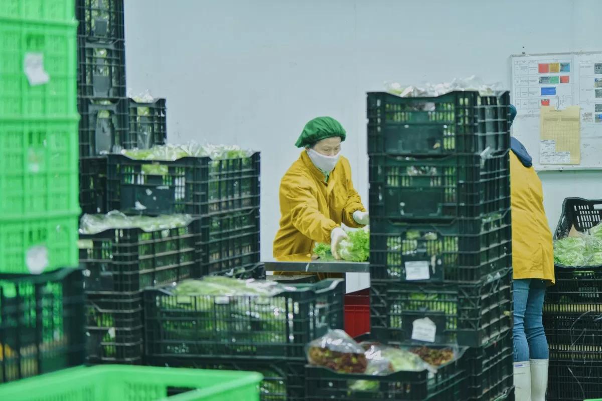 tong-muc-ban-le-va-doanh-thu-dich-vu-tieu-dung-nam-2024-tang-9