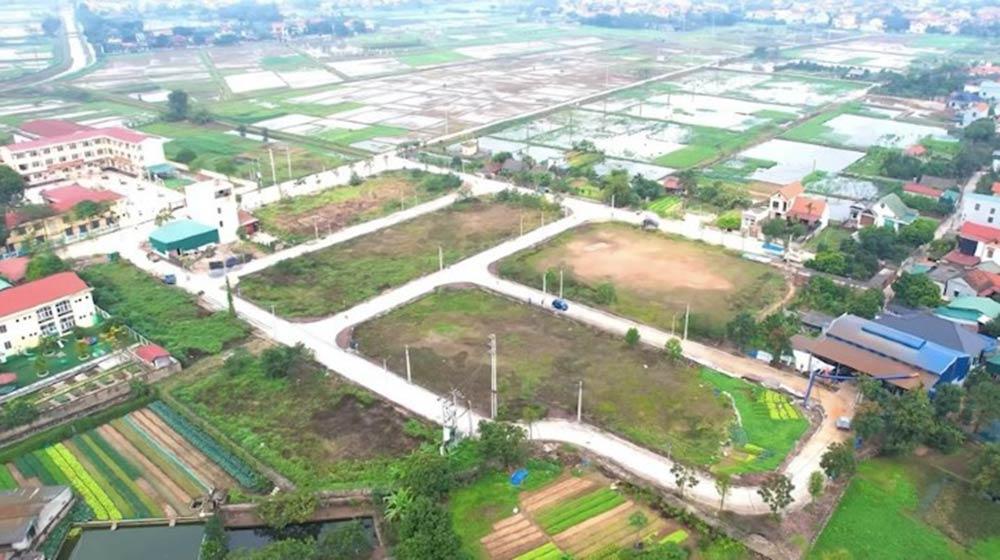 Trúng đấu giá đất rồi bỏ cọc: 'Có thể xử lý hình sự'