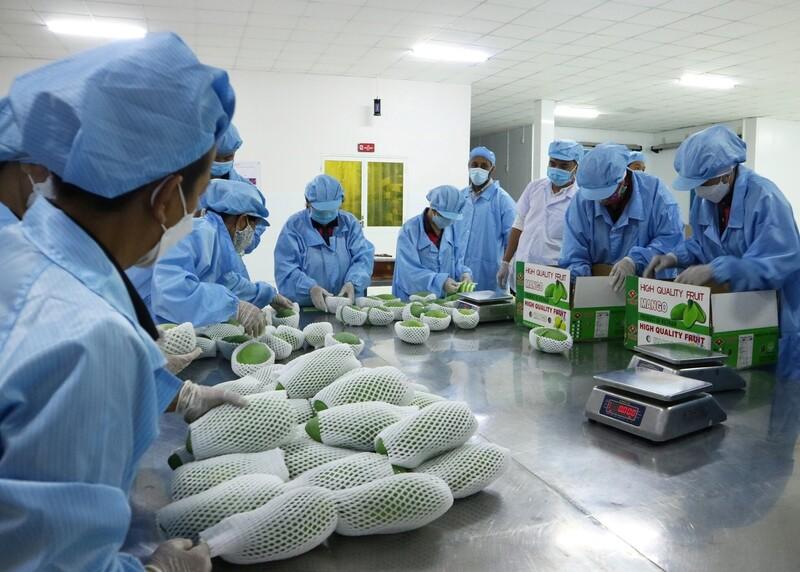 CPTPP mở cơ hội hợp tác dịch vụ vận tải hàng không giữa Việt Nam - Anh