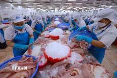 Phát triển kinh tế tư nhân: Từ khát vọng vươn lên đến quyết tâm hành động