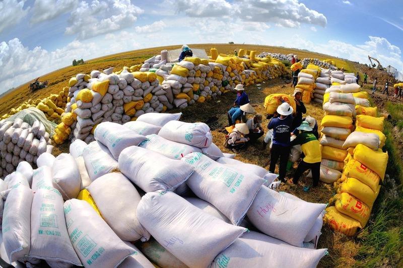 Tận dụng 17 FTA để bứt phá thị trường xuất khẩu nông, lâm, thủy sản