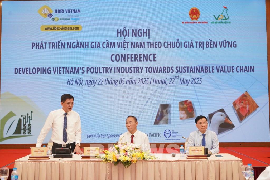 Liên kết chuỗi giá trị ngành gia cầm còn quá ít