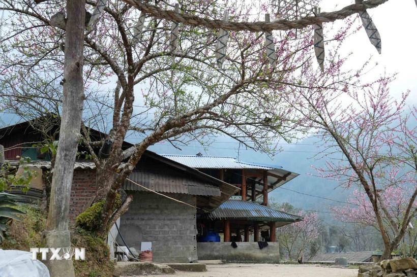 Phú Thọ: Du lịch cộng đồng vùng cao bứt phá "chào" năm mới