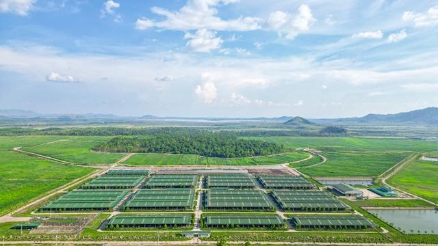 thaco-agri-xin-loat-co-che-dac-thu-vosco-di-ban-than-vingroup-xay-ben-cang-quoc-te