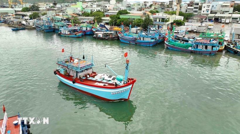 Khắc phục "thẻ vàng IUU": An Giang rà soát lại các tàu cá