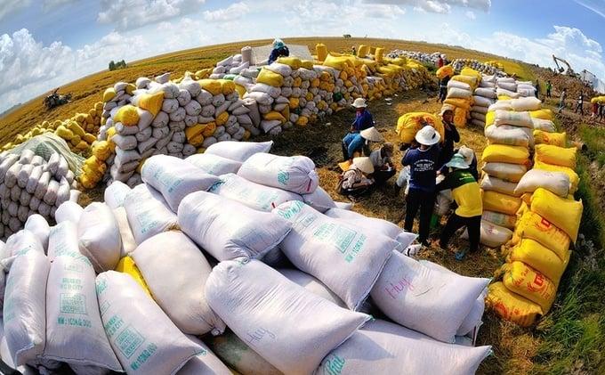 Xuất khẩu gạo đứng thứ 2 thế giới, Thủ tướng chỉ đạo "thần tốc" để giữ vị thế