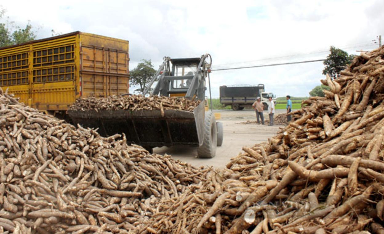 cho-6-nam-chua-duoc-hoan-529-ty-thue-vat-dn-xuat-khau-bot-san-buc-xuc