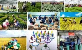 Quy chế tổ chức và hoạt động của Ban Chỉ đạo đổi mới, phát triển kinh tế tập thể, hợp tác xã