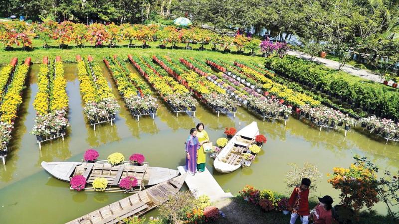 Làng hoa miền Tây Nam Bộ hối hả mùa Tết