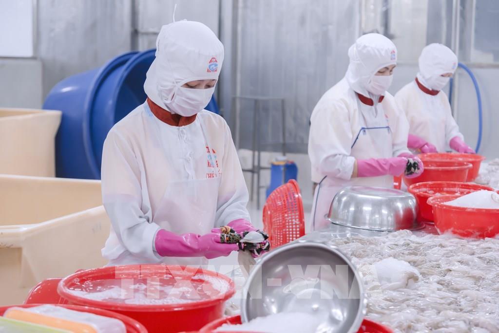 ho-tro-doanh-nghiep-mo-rong-thi-truong-xuat-khau-tai-cho