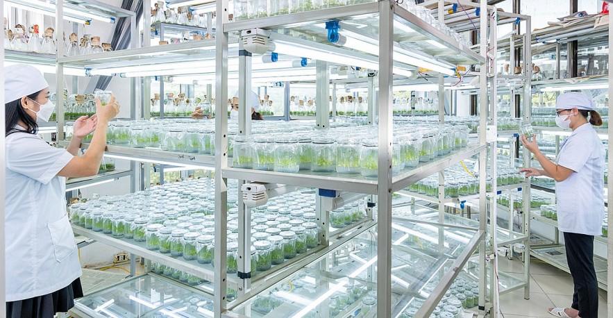 VINAFOR: Bản lĩnh doanh nghiệp nhà nước trong hành trình xanh hóa nền kinh tế