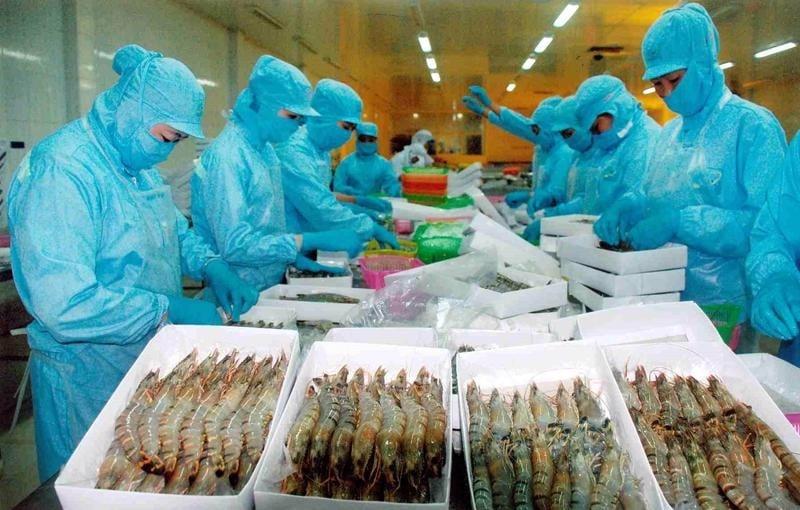 Tôm Việt sang Mỹ chịu thuế cao nhất 19 năm qua, lên tới hơn 35%