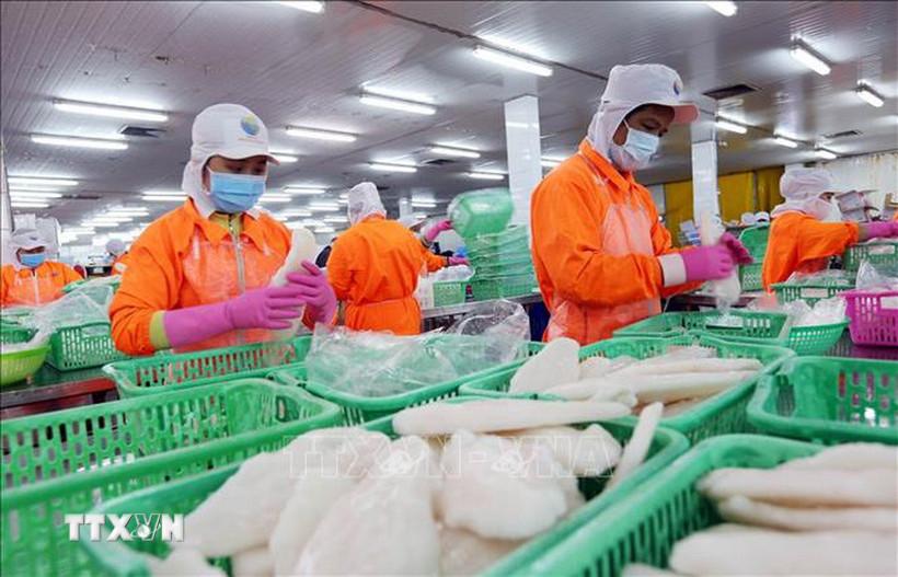 Thủy sản Việt Nam giữ vững vị trí tại thị trường Singapore