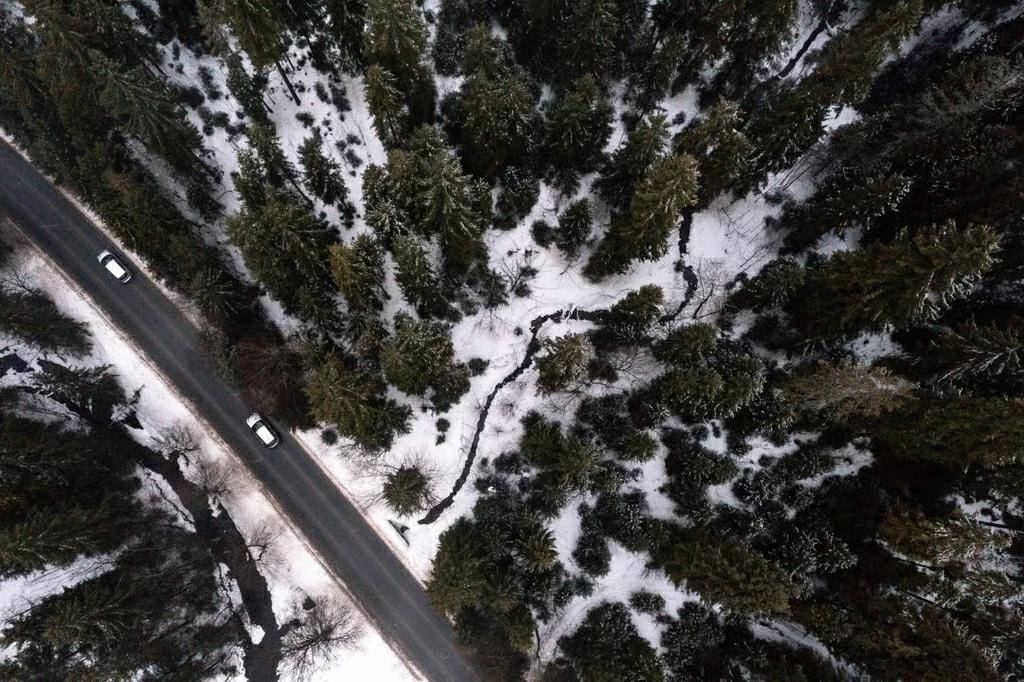 Hơn 150 quốc gia 'gióng hồi chuông' cảnh báo: Nỗi 'ám ảnh' về tăng trưởng đang hủy hoại đa dạng sinh học