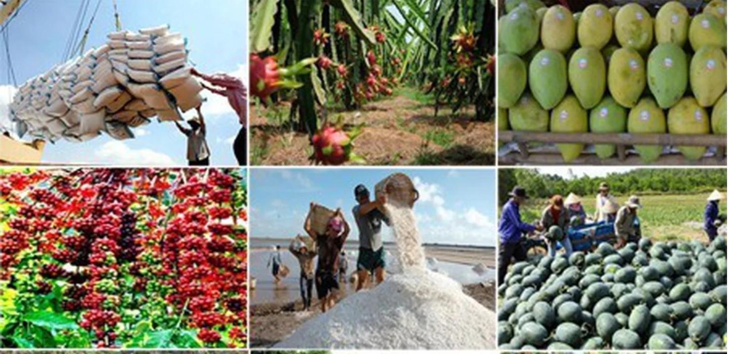 90 ngày hoãn thuế: 'Khoảng thở' ngắn trong toan tính dài của ngành nông sản