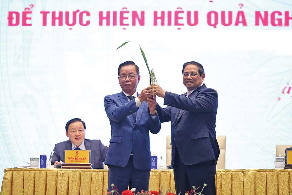 Anh hùng Lao động, Chủ tịch HĐQT Tập đoàn ThaiBinh Seed Trần Mạnh Báo: Tình yêu sâu nặng với cây lúa đã làm nên những điều kỳ diệu