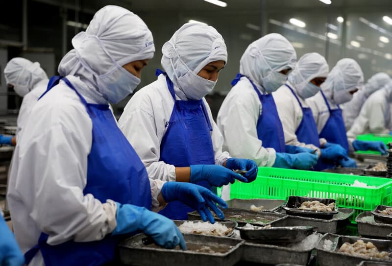 EU siết tiêu chuẩn bao bì: Doanh nghiệp đối mặt áp lực chuyển đổi