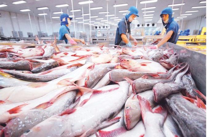 bao-ve-hang-viet-xuat-khau-truoc-lan-song-phong-ve-thuong-mai