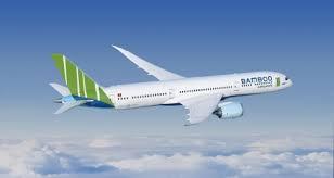 Bình Định có phương án tháo gỡ khó khăn, vướng mắc liên quan nợ thuế của Bamboo Airways