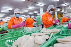 Tuyên bố chung Việt Nam và Hoa Kỳ: Củng cố vị thế trong chuỗi cung ứng toàn cầu