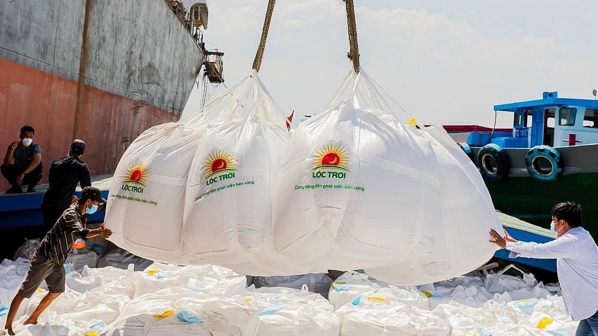 Cơn bĩ cực của doanh nghiệp ngành gạo