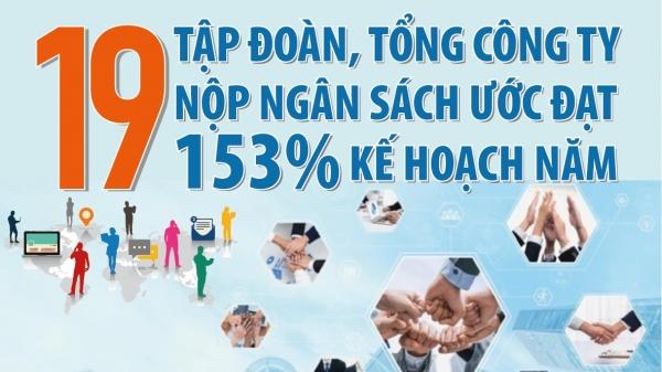 infographics-19-tap-doan-tong-cong-ty-nop-ngan-sach-uoc-dat-hon-206-nghin-ty-dong