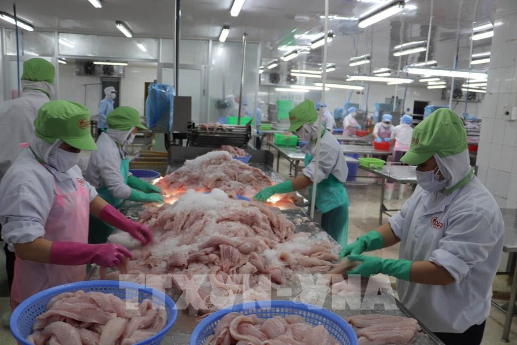 “Động lực” từ Nghị quyết 68, doanh nghiệp gia nhập thị trường tăng 18,9%