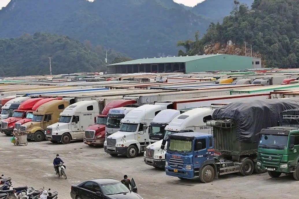 Ủy ban Thường vụ Quốc hội đề nghị đánh giá sâu hơn tác động của Nghị định 46