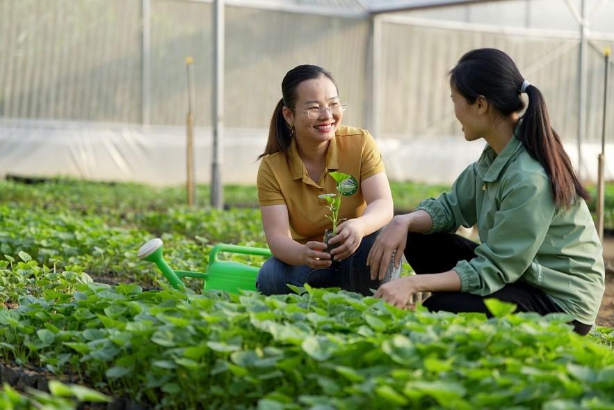 Phá bỏ rào cản cho cộng đồng nữ doanh nhân Việt Nam