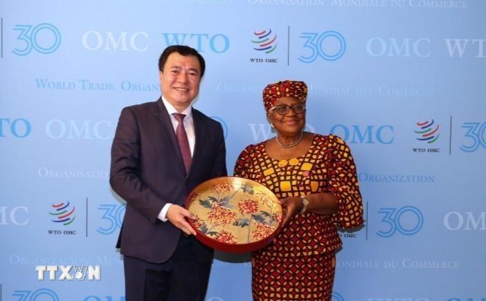 viet-nam-ung-ho-tien-trinh-cai-cach-toan-dien-wto