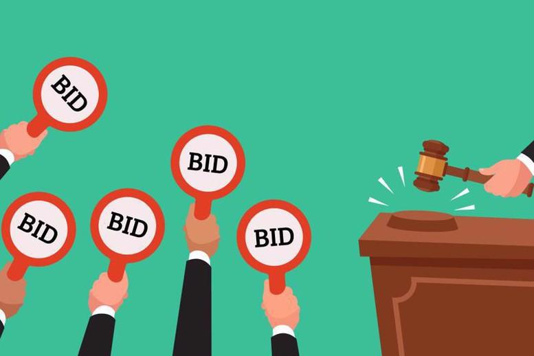 huong-dan-cung-cap-dang-tai-thong-tin-ve-lua-chon-nha-thau