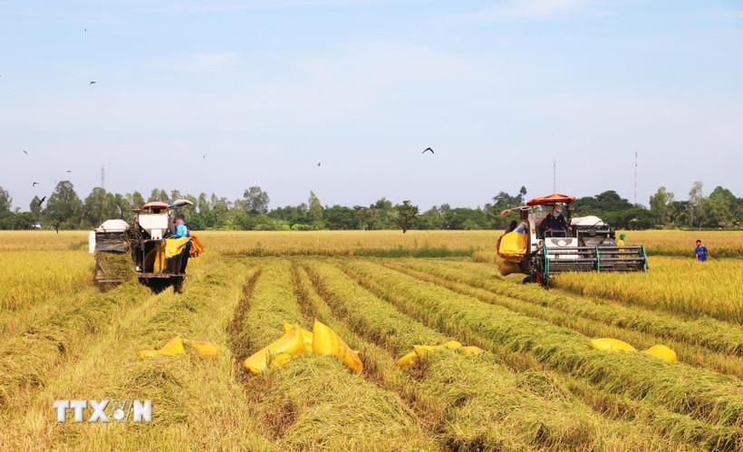 dai-hoi-xiv-cua-dang-nen-tang-moi-cho-dong-luc-tang-truong-xanh