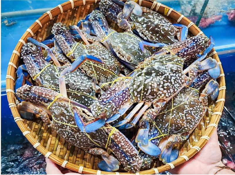 Xuất khẩu ghẹ Việt Nam cần chuyển hướng sang thị trường EU và CPTPP