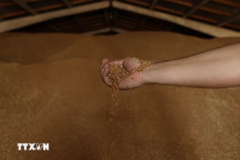 thi-truong-hang-hoa-the-gioi-chua-thoat-khoi-sac-do