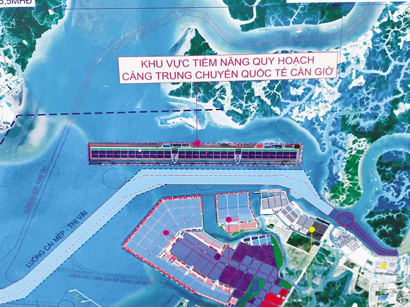 TP.HCM nên thu hút nhà đầu tư chiến lược vào ngành nào?