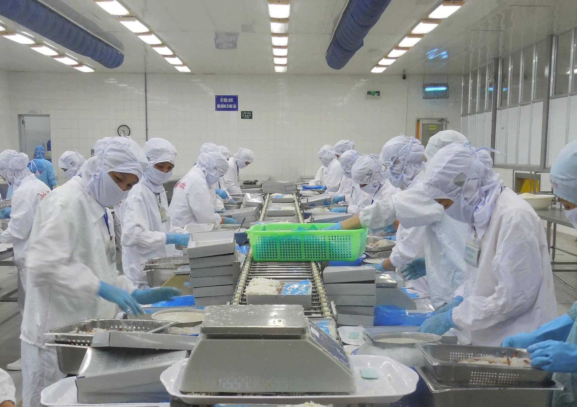 Thủy sản Thuận Phước tái cấu trúc bằng ‘nước cờ’ tách đôi doanh nghiệp