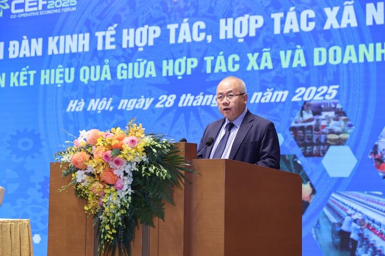 lien-ket-hop-tac-xa-doanh-nghiep-loi-ich-da-chieu