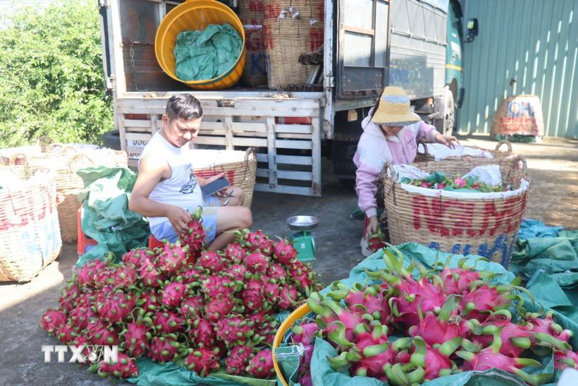 Nghị quyết 57-NQ/TW: Tăng giá trị sản phẩm nông nghiệp từ chuyển đổi số