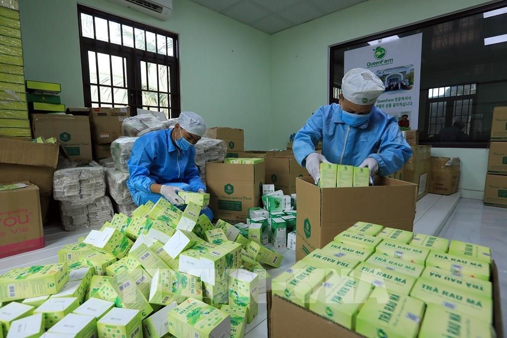 Công ước Hà Nội: Pháo đài số của doanh nghiệp Việt không chỉ là tường lửa mà là văn hóa an ninh