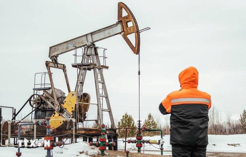 opec-nhat-tri-tam-dung-tang-san-luong-trong-quy-1-nam-2026