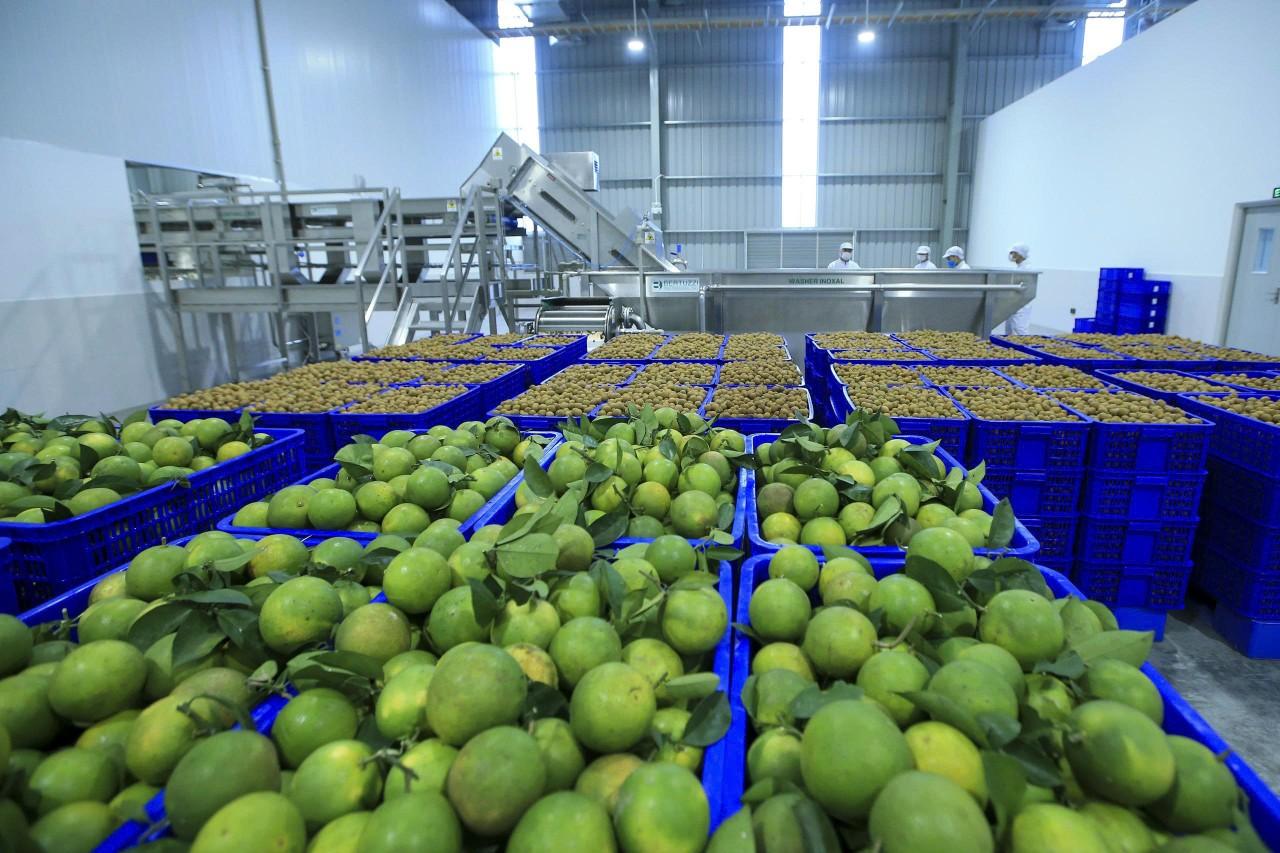 phat-trien-cong-nghiep-che-bien-nang-cao-nang-luc-canh-tranh-cho-nong-san-viet